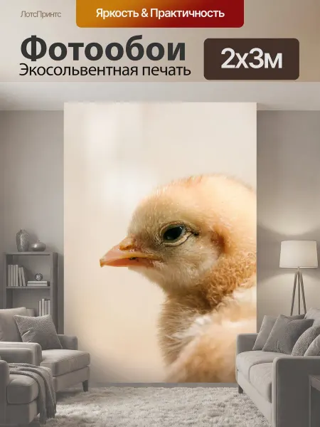 LotsPrints Фотообои "Цыпленок, курица, детка" 2x3м