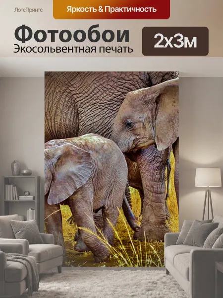 LotsPrints Фотообои "Слоны, слон, дикий слон" 2x3м