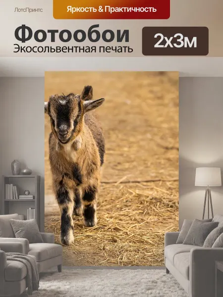LotsPrints Фотообои "Животное, козел, козлята" 2x3м