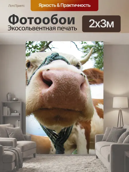 LotsPrints Фотообои "Корова, четвероногий, животное" 2x3м
