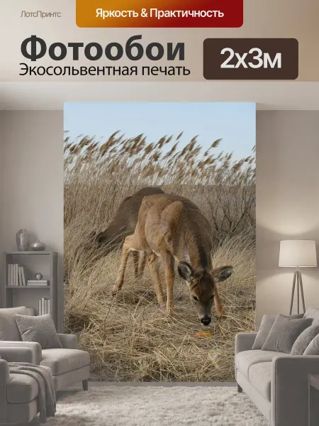 LotsPrints Фотообои "Олень, смит точки, животное" 2x3м