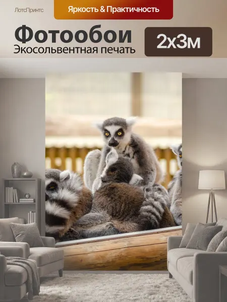 LotsPrints Фотообои "Животные, пушистый, лемур" 2x3м