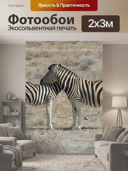 LotsPrints Фотообои "Зебры, сафари, национальный парк этоша" 2x3м