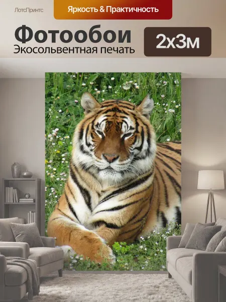 LotsPrints Фотообои "Тигр, зоопарк, фауна" 2x3м