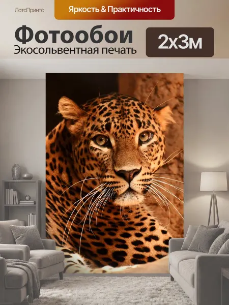 LotsPrints Фотообои "Леопард, кошачий, кошка" 2x3м