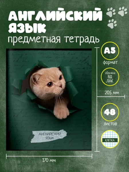 Schoolformat Тетрадь предметная Английский язык Любопытный котик