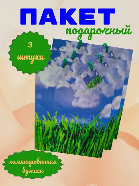 Winter Wings Пакет подарочный бумажный "Небо" 3 штуки
