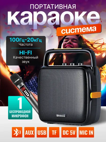 Akenori Караоке колонка с микрофоном
