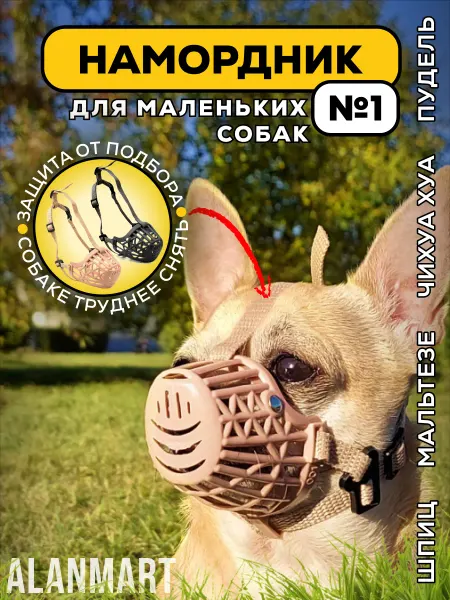 ALANMART Намордник для собак мелких пород шпица, йорка, чихуа
