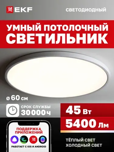 Умный потолочный светодиодный светильник EKF Connect, 45W, 60 см с Wi-Fi, Яндекс Алисой, Марусей, Салютом
