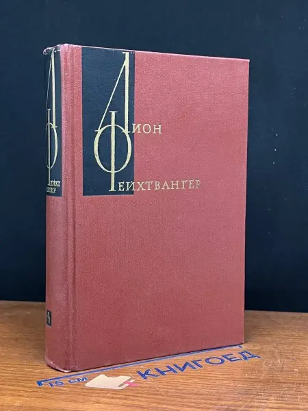 Художественная литература Лион Фейхтвангер. Том 4. Книги 4-5 — Семья опперман
