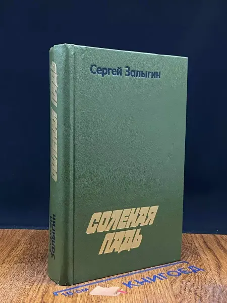 Художественная литература Соленая Падь — Сергей Залыгин, классика, советская проза
