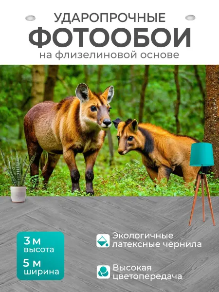 LotsPrints Фотообои "Лесные животные, мирно живущие в их." 5x3м