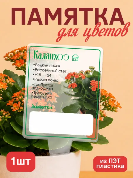 KRASNIKOVA Памятка по уходу за цветами Каланхоэ