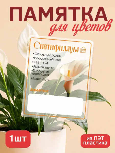 KRASNIKOVA Памятка по уходу за цветами Спатифиллум