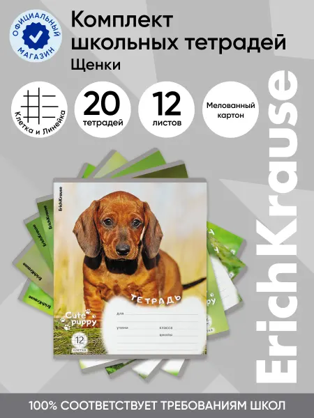 ErichKrause Комплект тетрадей Щенки, 12 листов, клетка линейка 20 шт