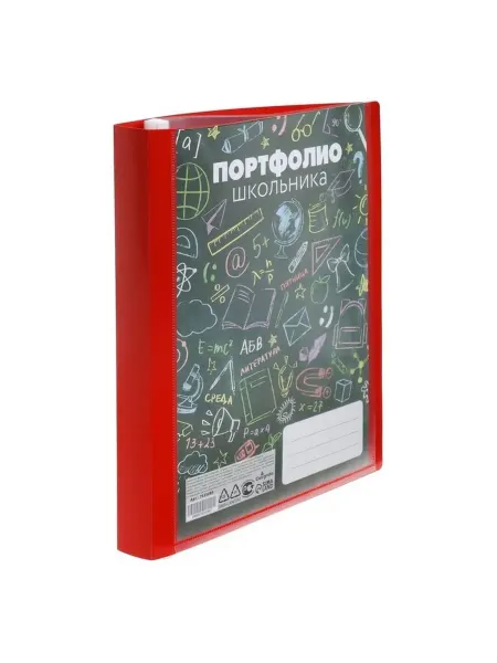Яркая пластиковая папка-портфолио для школы