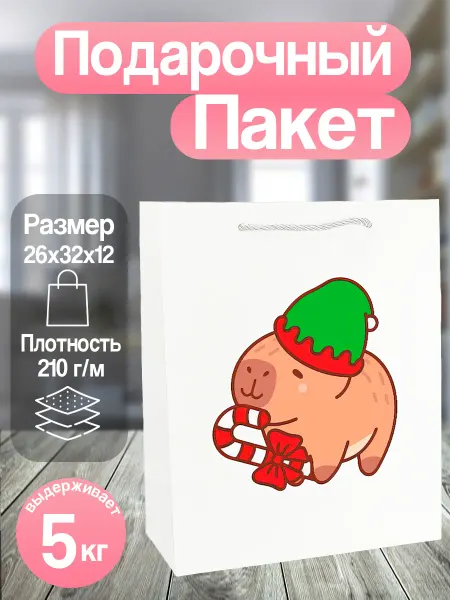 Allure Gift Пакет новогодний подарочный капибара