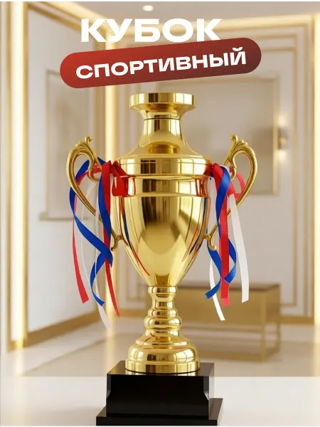 Кубок спортивный подарочный наградной