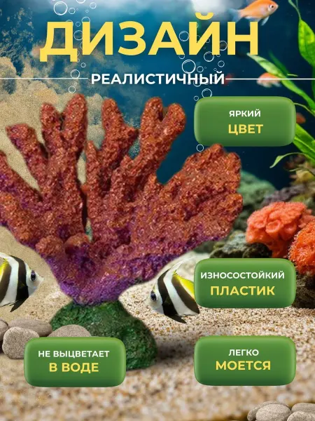 Amalivecare Декор для аквариума Коралл акабария