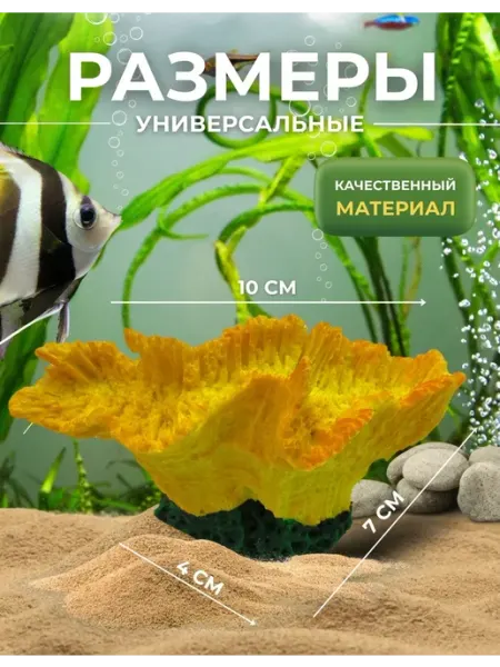 Amalivecare Декор для аквариума Коралл гониопора средняя