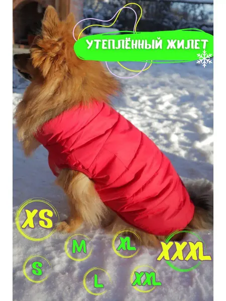 Hot Dogs Весенний жилет утеплённый для собак