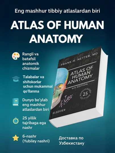Книга медицины, Атлас анатомии человека, Atlas of Human Anatomy, Франк Неттер, формат А4