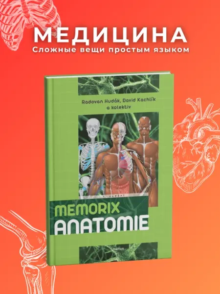 Memorix Anatomy & Histology. Анатомия Человека