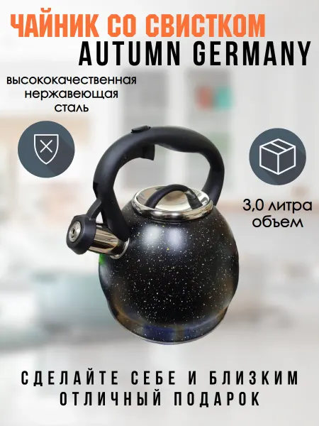 Чайник со свистком 3,0 л Autumn T-730B черный