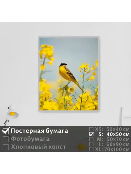ПолиЦентр Постер на стену "Птичка на желтых цветах" 40х50 см