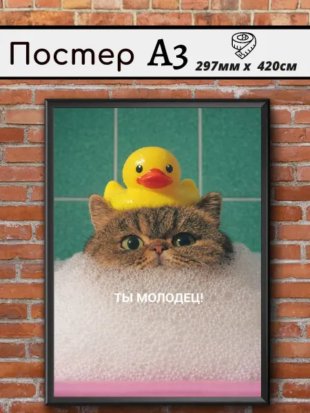 Постер мотивационный на стену с котом «Ты молодец »