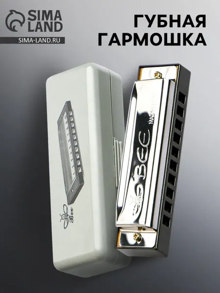 Губная гармошка диатоническая C-dur с футляром серебро