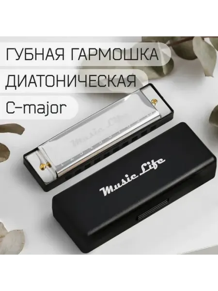 Губная гармошка диатоническая C-major серебристая