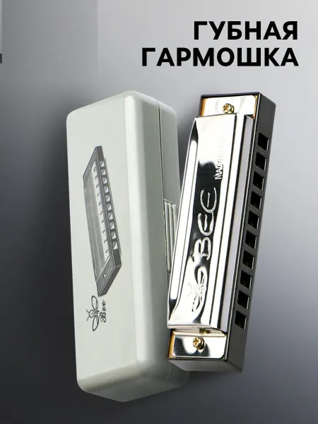 Mvh Губная гармошка, диатоническая с футляром