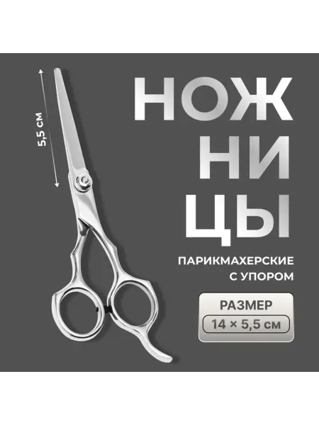 Yamle Парикмахерские ножницы с упором, лезвие 5.5 см, серебро