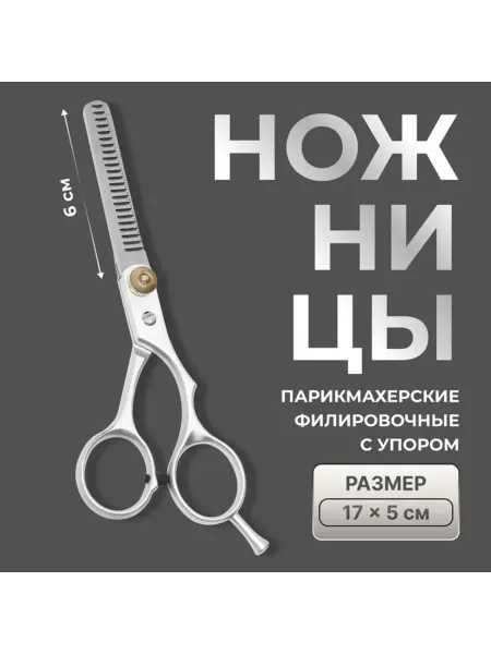 Zeriazor Филировочные ножницы с упором, 6 см, серебристые