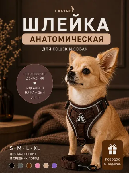 ANIMALS CARE Шлейка с поводком для мелких и средних пород собак и кошек