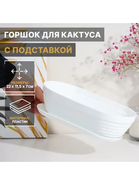 ПМДК Горшок для кактусов с поддоном, пластиковый, белый, 2 шт