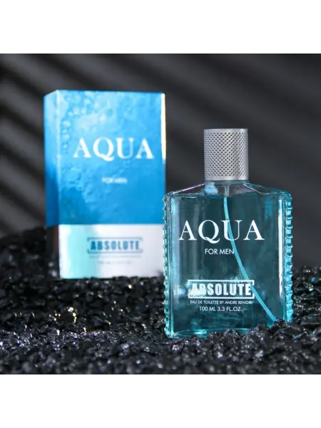 In Mother's Hands Мужская туалетная вода Absolute Aqua 100 мл