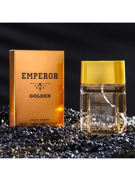 Today parfum Мужская туалетная вода Emperor Golden 100 мл