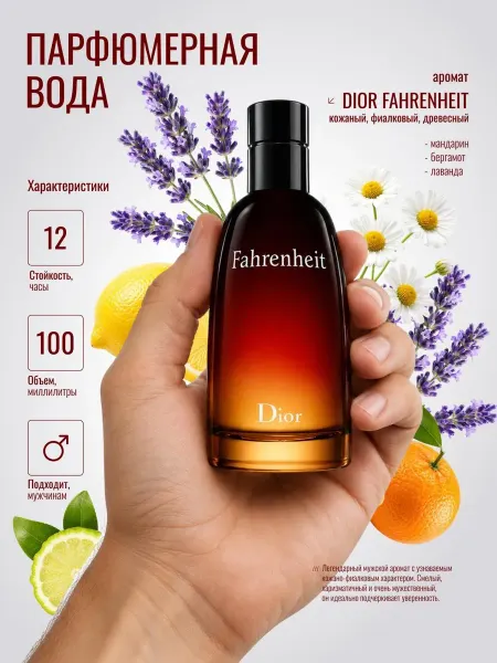ANYLADY PARFUM Духи мужские 100 мл, парфюмерная вода стойкая