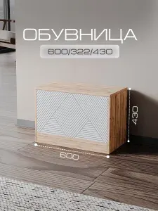 Обувница закрытая для прихожей, МДФ, 60х32.2х43 см, Артикус