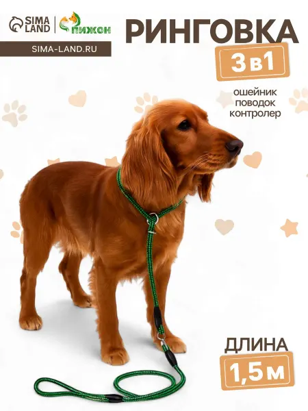 Market_Поводки для собак Ринговка с вертлюгом чёрно-зелёная