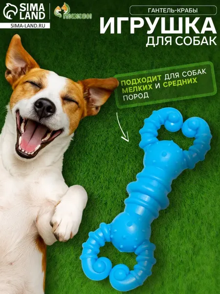 Пижон Резиновая игрушка для собак "Гантель-крабы" 11.5 см, 2 шт