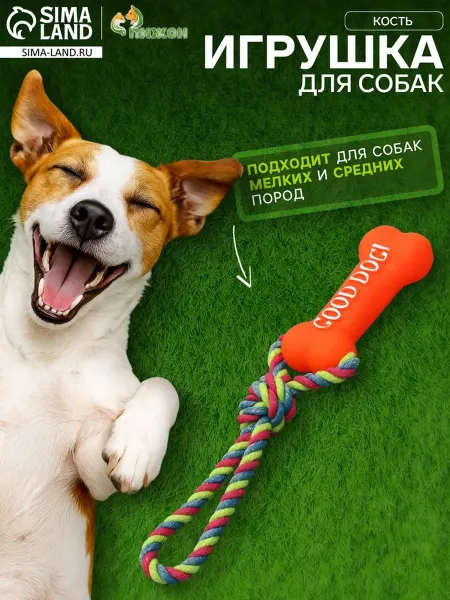 Пижон Резиновая игрушка-кость для собак с канатом, 14 см