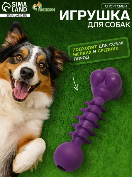 Пижон Жевательная игрушка для животных Спортсмен 15.5 см фиолетова