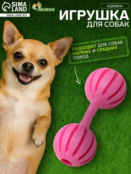 Пижон Жевательная игрушка для животных "Силач", розовая, 15 см