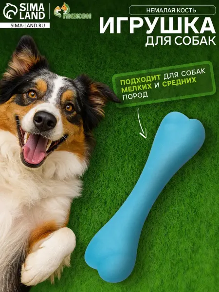 Пижон Жевательная игрушка для собак, кость, синяя, 16 см