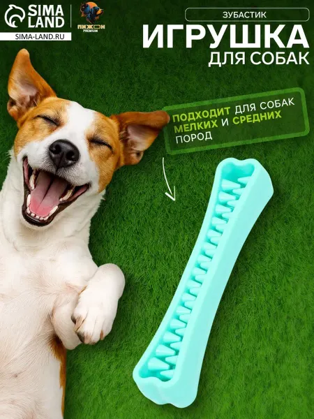 Пижон Игрушка-зубочистка для собак, мятный, 18.3х3.8 см