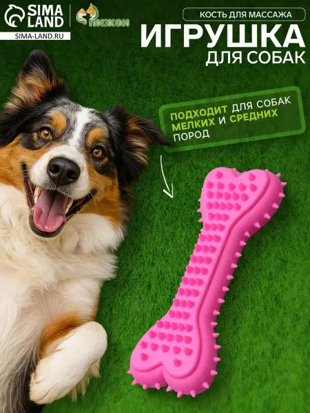 Пижон Жевательная игрушка "Кость" для массажа животных, розовая, 2